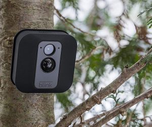 Blink XT Outdoor Camera